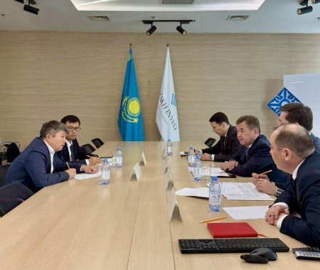 Арнайы экономикалық және индустриялық аймақтар мүмкіндіктері сараланды
