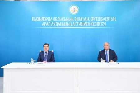 Аймақ басшысының сапары аудан ажарын айшықтады