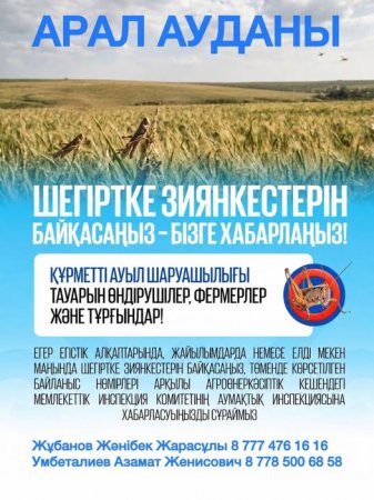 Шегіртке зиянкестеріне қарсы химиялық өңдеу жұмыстары жүргізілуде