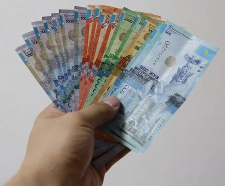 Түзеу мекемесіне ақша кіргізбек болған тұрғын ұсталды