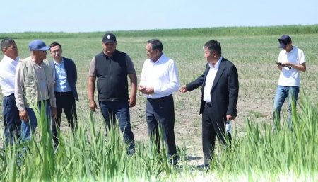 Егін алқаптарын аралап, шаруашылықтың атқарып жатқан жұмыстарымен танысты
