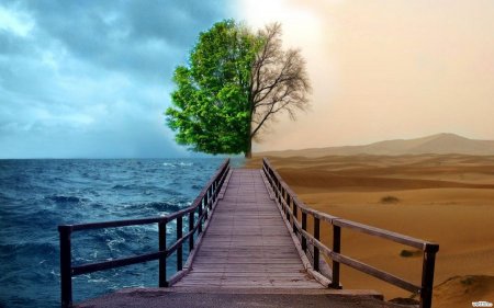 Тағдырға разы болу – бақытты өмір сүрудің жолы