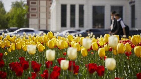 +41°С: Демалыс күндеріне арналған ауа райы болжамы жарияланды