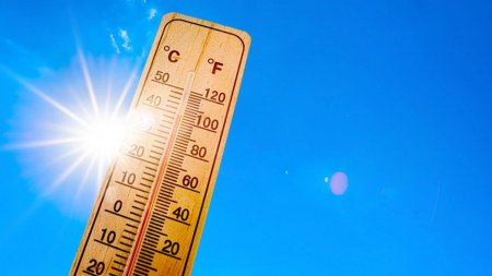 +42 °С ыстық: Бірқатар өңірде ескерту жарияланды