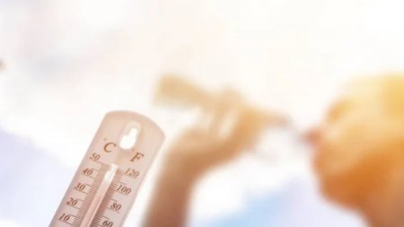 Францияда ыстыққа байланысты алкоголь тұтынуға шектеу енгізілді