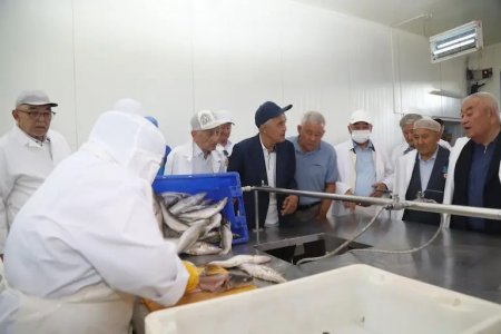 Ардагерлер Аралдың балық шаруашылығымен және тарихи мұраларымен танысты