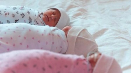 Елімізде егіздер мен үшемдер көбіне қай өңірде дүниеге келеді