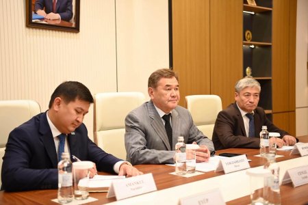 ТҮРІК ИНВЕСТОРЛАРЫМЕН ЖЫЛЫЖАЙ ШАРУАШЫЛЫҒЫН ДАМЫТУ МӘСЕЛЕСІ ТАЛҚЫЛАНДЫ