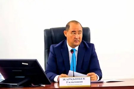 Газ саласын дамыту және санитарлық тазалық мәселелерін саралады