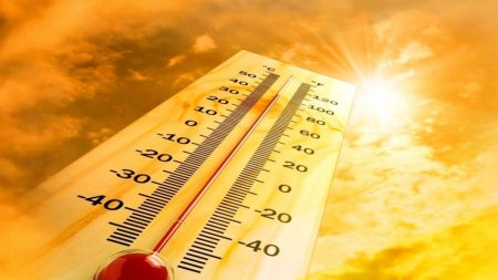Еліміздің батысында 44 градусқа дейін аптап ыстық болады