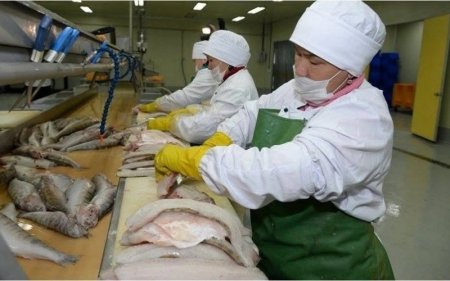 Аралда ауланған қандай балық түрлері жиі экспортталады