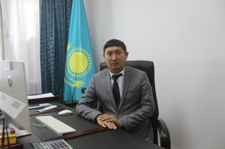 Салмақты салаға серпін берген