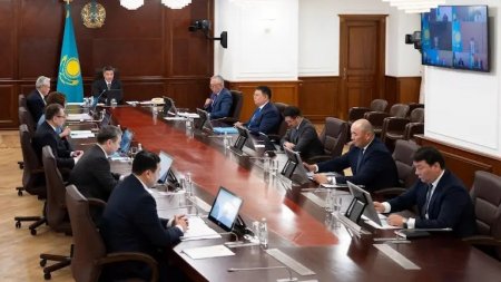 Үкіметте Президенттің отандық тауарды қолдау жөніндегі тапсырмаларының жүзеге асырылу барысы қаралуда