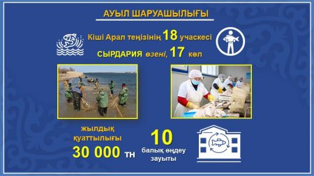 Ауданда балық шаруашылығы саласында ілгерілеу бар