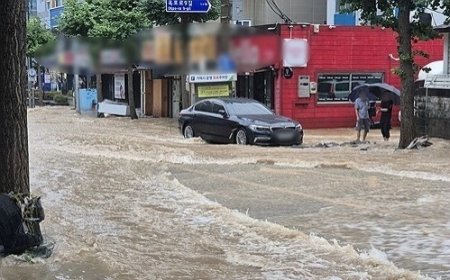 Оңтүстік Кореяға бұрын-соңды болмаған жауын жауды