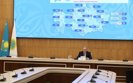 Сайлау-2026: Шетелде жүрген 228 отандасымыз дауыс берді