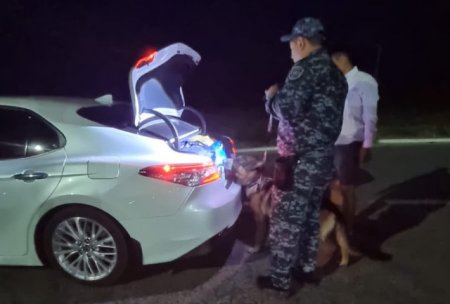 Есірткі тасымалына тосқауыл қойылды: Қызылорда облысында 2 килограммға жуық марихуана тәркіленді