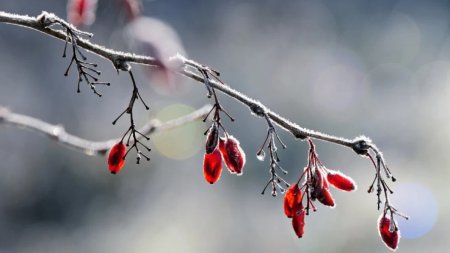 Үсік, бұршақ, жаңбыр: 17 облыста дауылды ескерту жарияланды