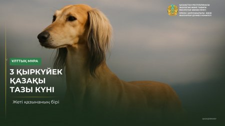 3 қыркүйек – қазақ тазысы күні