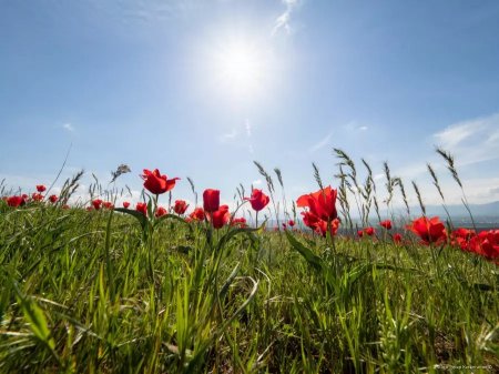 Күн қайта ысиды: бүгін ауа райы қандай болады?
