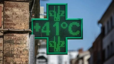 Францияда аптап ыстықтан 7 мың адам қайтыс болды