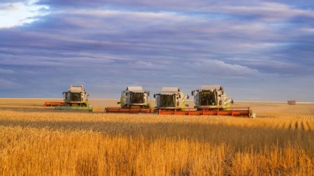 Елімізде 13,5 млн тонна астық бастырылды