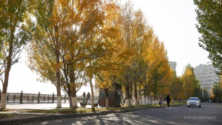 Циклон Қазақстанға бет алды: Бірнеше өңірде жаңбыр жауып, жел күшейеді