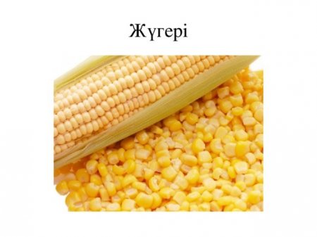 Ақ жүгері