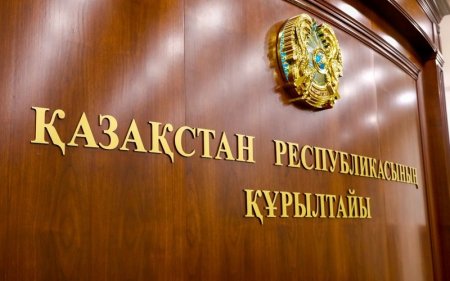 Құрылтай жанынан мәслихаттармен өзара іс-қимыл жөніндегі кеңес құрылады