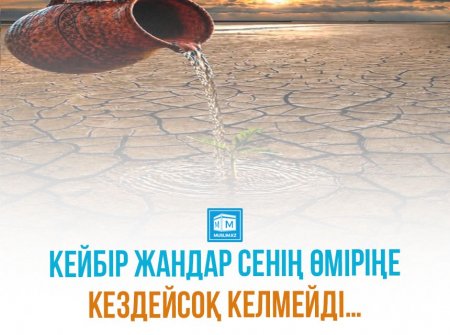 Кейбір жандар сенің өміріңе кездейсоқ келмейді…