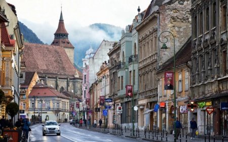 Румыния парламенті жаңа үкіметті бекітті