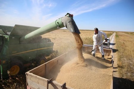 Ауыл шаруашылығы саласына ЖИ тәсілдерін жедел қарқынмен енгізу қажет – Президент